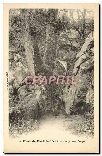 Ansichtskarte AK Foret De Fontainebleau Gorge Aux Loups