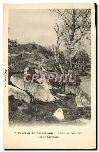 Cartes postales Foret De Fontainebleau Gorges De Franchard apres l&#39incendie