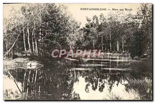 Cartes postales Fontainebleau Mare Aux Boeufs