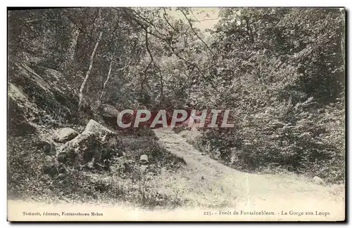 Ansichtskarte AK Foret De Fontainebleau La Gorge Aux Loups