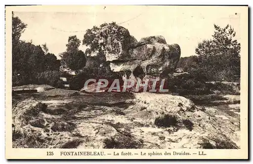 Cartes postales Fontainebleau La Foret Le sphinx des druides