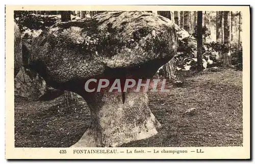 Ansichtskarte AK Fontainebleau La Foret Le champignon
