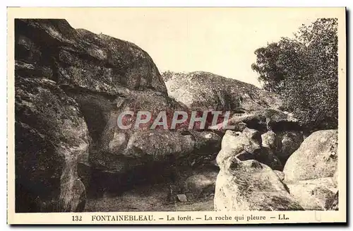 Cartes postales Fontainebleau La Foret La Roche qui pleure