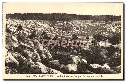 Ansichtskarte AK Fontainebleau La Foret Gorges D&#39Apremont