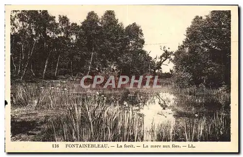 Ansichtskarte AK Fontainebleau La Foret La Mare Aux Fees