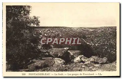 Ansichtskarte AK Fontainebleau La Foret Les Gorges De Franchard