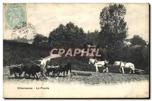 Cartes postales Villecresnes La Prairie Charrue et boeufs Paysan TOP