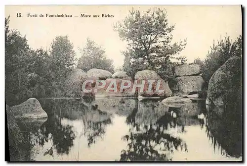 Cartes postales Foret De Fontainebleau Mare Aux Biches