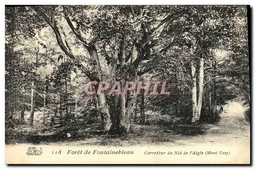 Ansichtskarte AK Foret De Fontainebleau Carrefour Du nid de l&#39aigle Mont Ussy Aigle Rapace