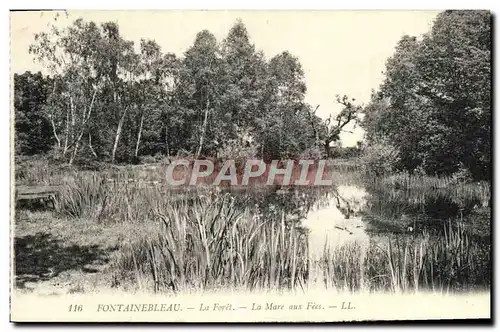 Ansichtskarte AK Fontainebleau La Foret La Mare Aux Fees