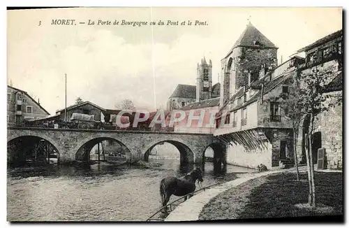 Cartes postales Moret La Porte De Bourgogne Ou Du Pont Et Le Pont Cheval