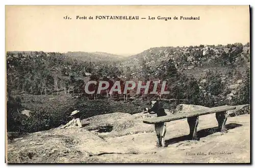 Ansichtskarte AK Foret De Fontainebleau Les Gorges De Franchard