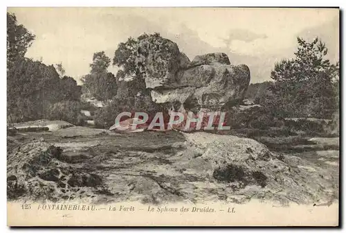 Ansichtskarte AK Fontainebleau La Foret Le Sphinx Des Druides