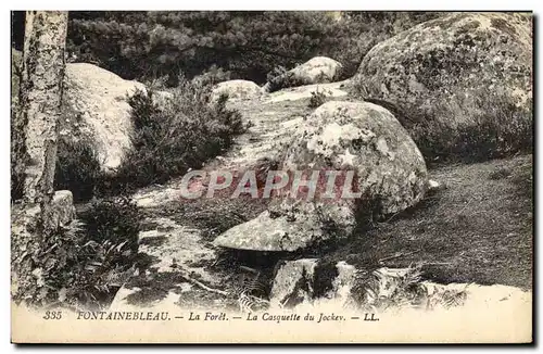 Cartes postales Fontainebleau La Foret La Casquette Du Jockev