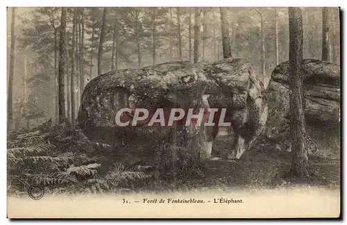 Cartes postales Foret De Fontainebleau L&#39Elephant Elephant