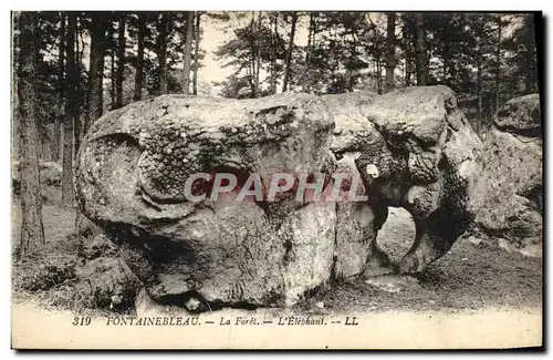 Ansichtskarte AK Fontainebleau La Foret L&#39Elephant Elephant