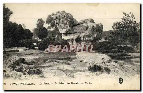 Cartes postales Fontainebleau La Foret Le Sphinx Des Druides