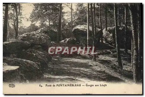 Cartes postales Foret De Fontainebleau Gorges Aux Loups