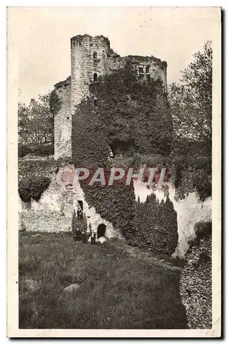 Cartes postales Blandy Les Tours Tour Des Archives