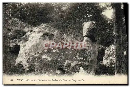 Cartes postales Nemours Le Chameau Rocher Du Croc Du Loup