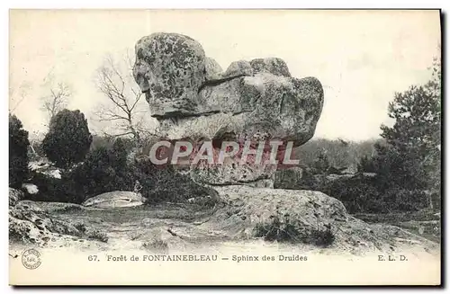 Ansichtskarte AK Foret De Fontainebleau Sphinx Des Druides