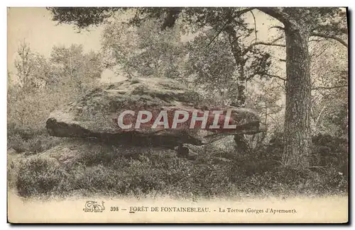 Ansichtskarte AK Foret De Fontainebleau La Tortue Gorges d&#39Apremont