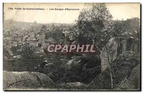 Ansichtskarte AK Foret De Fontainebleau Les Gorges D&#39Apremont