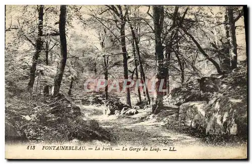 Cartes postales Fontainebleau La Foret La Gorge Du Loup