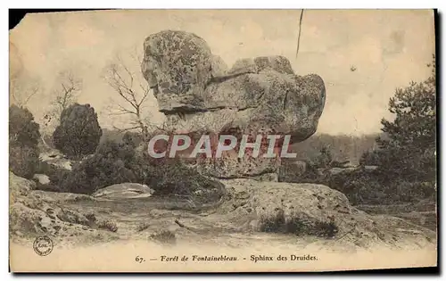 Ansichtskarte AK Foret De Fontainebleau Sphinx Des Druides