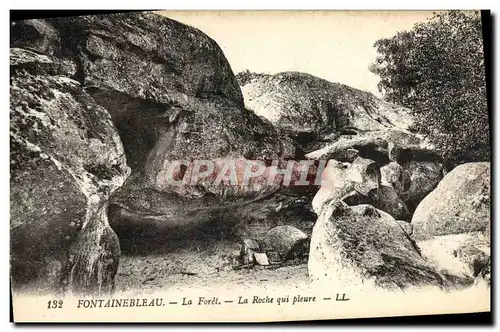 Cartes postales Fontainebleau La Foret La Roche Qui Pleure