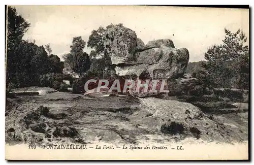 Cartes postales Fontainebleau La Foret Le Sphinx Des Druides