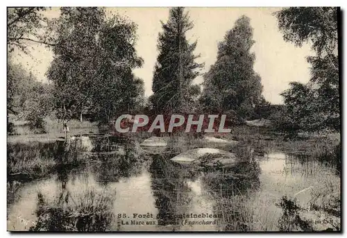 Cartes postales foret De Fontainebleau La Mare Aux pigeons Franchard