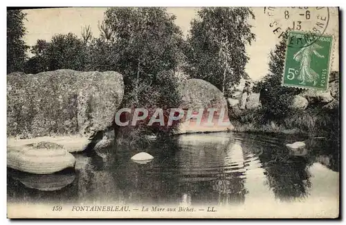 Ansichtskarte AK Fontainebleau La Mare Aux Biches