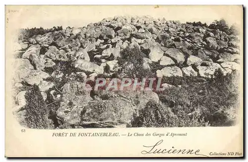 Ansichtskarte AK Foret De Fontainebleau Le Chaos Des Gorges D&#39Apremont