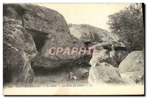 Cartes postales Fontainebleau La Foret La Roche Qui Pleure