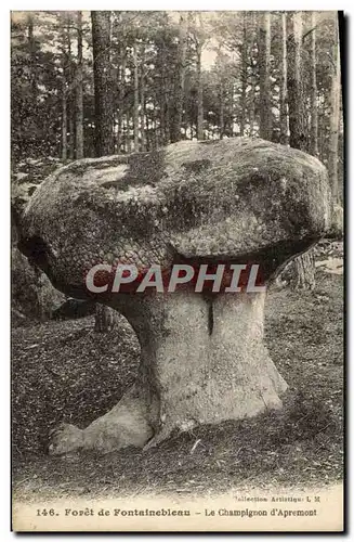 Ansichtskarte AK Foret de Fontainebleau Le Champignon D&#39Apremont