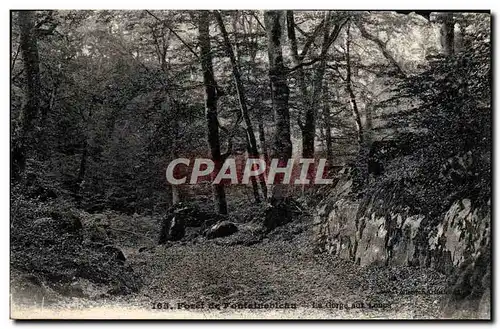 Ansichtskarte AK Foret De Fontainebleau La Gorge Aux Loups