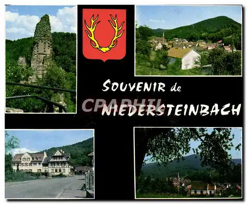 Cartes postales moderne Souvenir De Niedersteinbach