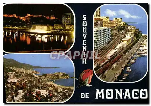 Cartes postales moderne Souvenir De Monaco