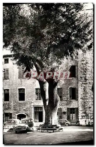 Moderne Karte Vence la Jolie Place du Frene arbre plante par Francois 1er