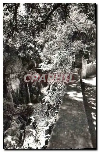 Cartes postales moderne Amelie les Bains Les gorges du Mondony