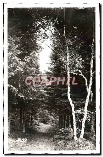 Moderne Karte La Louvesc Sous bois dans la foret du bois noir