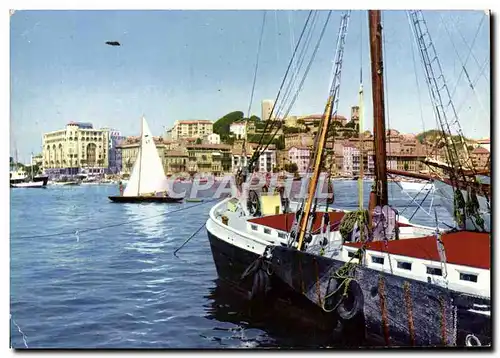 Cartes postales moderne Cannes Vue sur le Suquet et le Quai Saint Pierre Bateaux