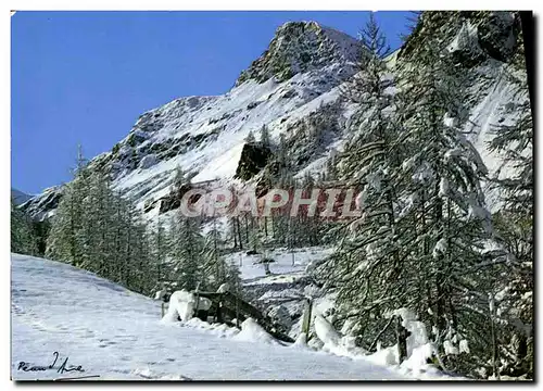 Cartes postales moderne L&#39Hiver Dans Les Alpes