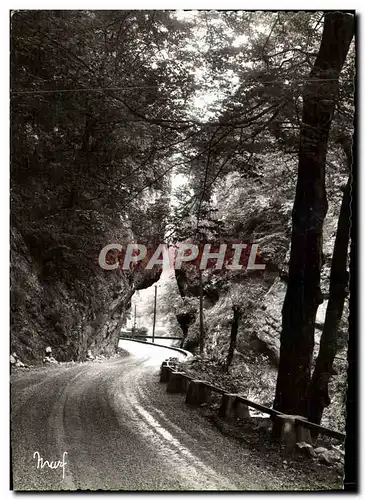 Cartes postales moderne La Grande Chartreuse La Route Du Couvent L&#39Entree Du Desert