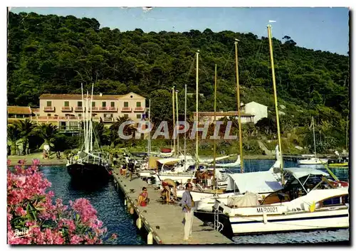 Cartes postales moderne La Cote D'Azur Varoise Ile De Port Cros L'Embarcadere Bateaux