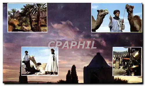 Moderne Karte Pittoresque Afrioue Du Nord Picturesque Northern Africa Chameaux