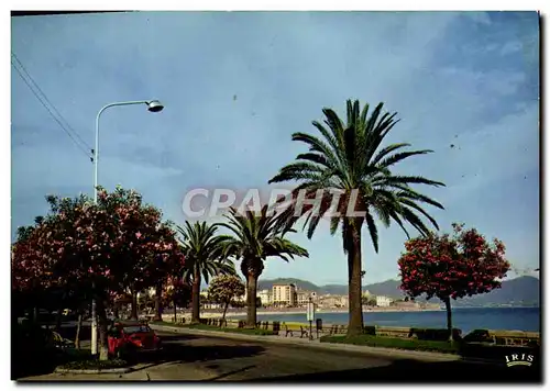 Cartes postales moderne Charmes Et Couleurs De La Corse Ajaccio Le boulevard Lantivy avec ses palmiers et lauriers roses