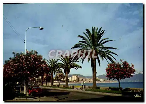 Moderne Karte Charmes Et Couleurs De La Corse Ajaccio Le boulevard Lantivy avec ses palmiers et lauriers roses