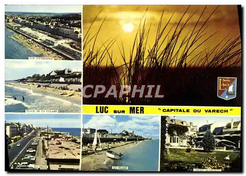 Cartes postales moderne Luc Sur Mer Capitale Du Varech